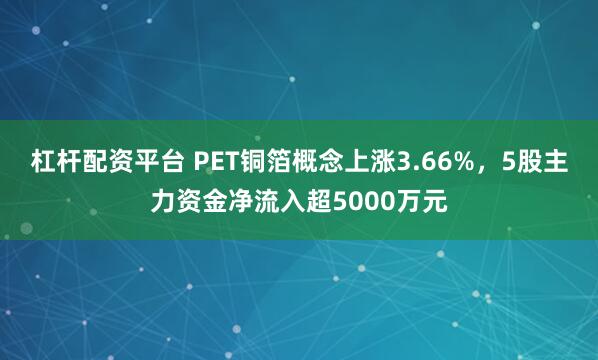 杠杆配资平台 PET铜箔概念上涨3.66%，5股主力资金净流入超5000万元
